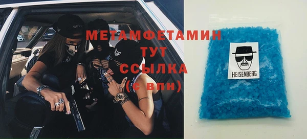 ПСИЛОЦИБИНОВЫЕ ГРИБЫ Вяземский