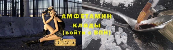 ПСИЛОЦИБИНОВЫЕ ГРИБЫ Вяземский