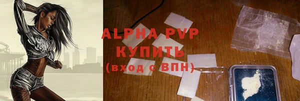 ПСИЛОЦИБИНОВЫЕ ГРИБЫ Вяземский