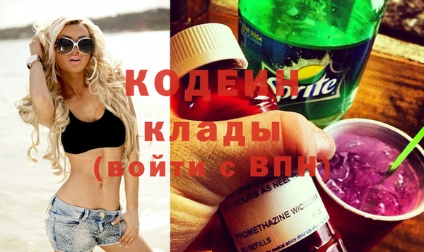 ПСИЛОЦИБИНОВЫЕ ГРИБЫ Вяземский