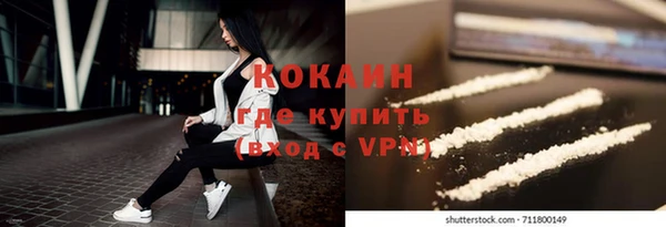 ПСИЛОЦИБИНОВЫЕ ГРИБЫ Вяземский