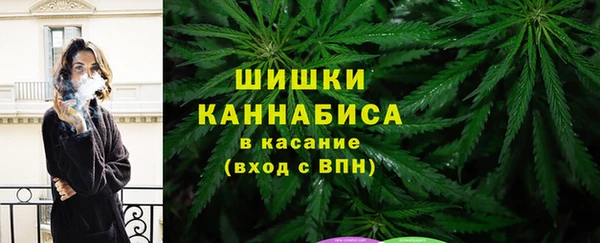 ПСИЛОЦИБИНОВЫЕ ГРИБЫ Вяземский