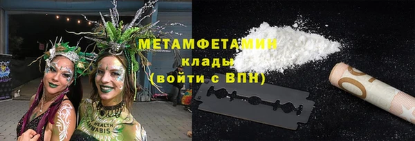 ПСИЛОЦИБИНОВЫЕ ГРИБЫ Вяземский