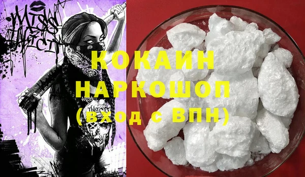 ПСИЛОЦИБИНОВЫЕ ГРИБЫ Вяземский