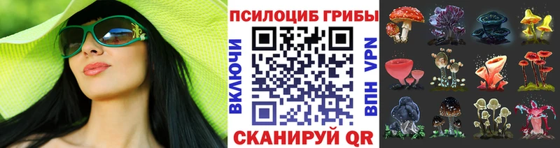 Галлюциногенные грибы MAGIC MUSHROOMS  Новомосковск 